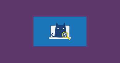 فیلترشکن clash vpn با لینک مستقیم و راهنمای استفاده از تونل های رایگان